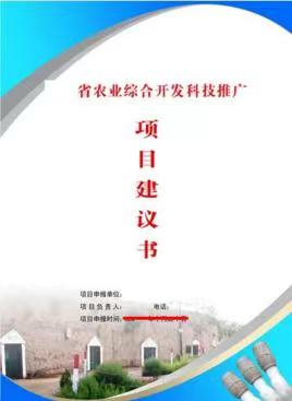 項(xiàng)目建議書